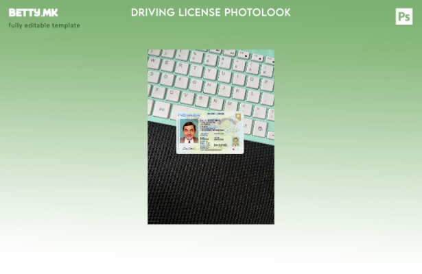 Возачка дозвола во модерен стил на САД Невада го претставува предниот шаблон со 